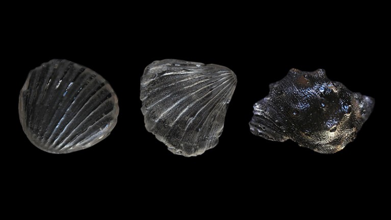 Glasses cast with commercial moulds.