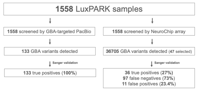 image001.png image001.png