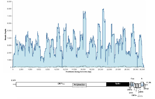 image005.png image005.png