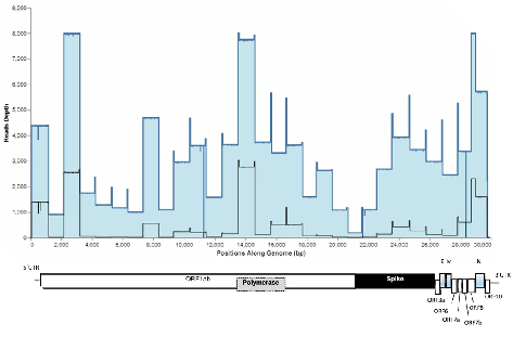 image007.png image007.png