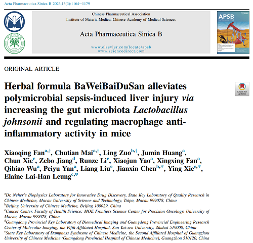 image001.png image001.png