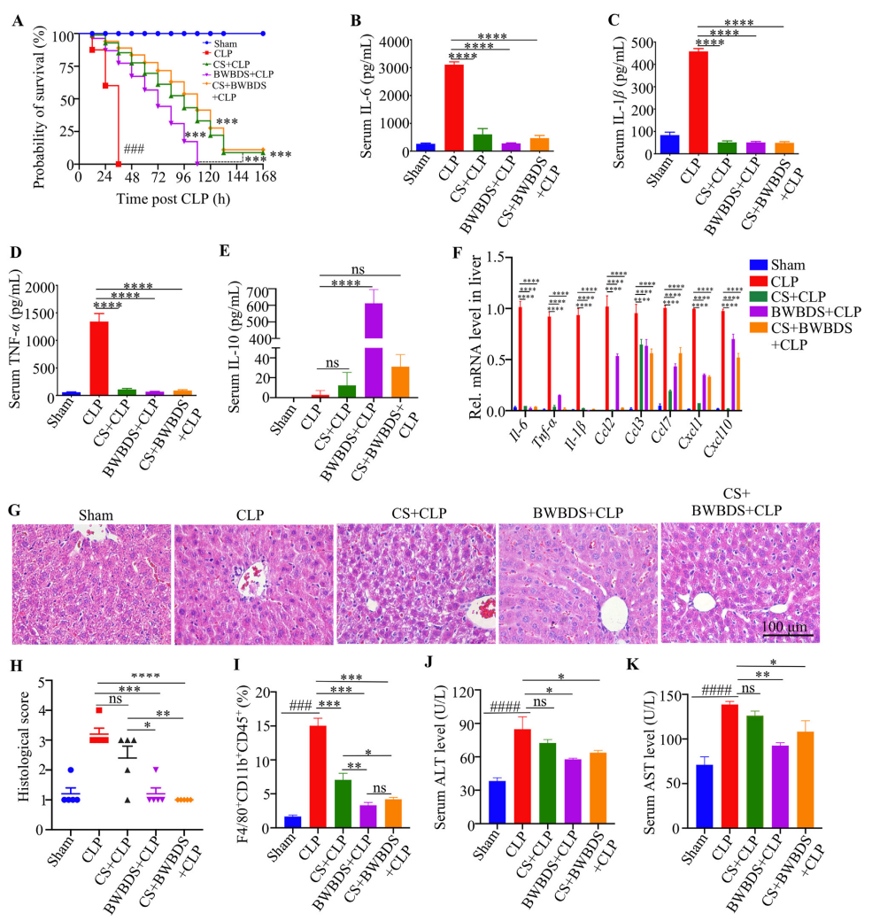 image003.png image003.png