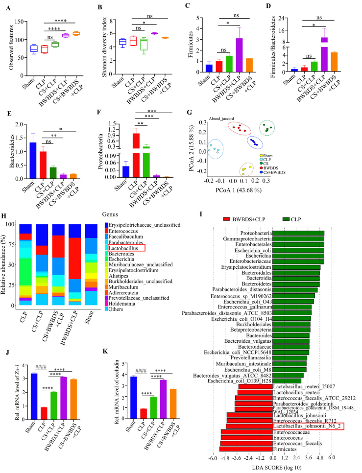 image005.png image005.png