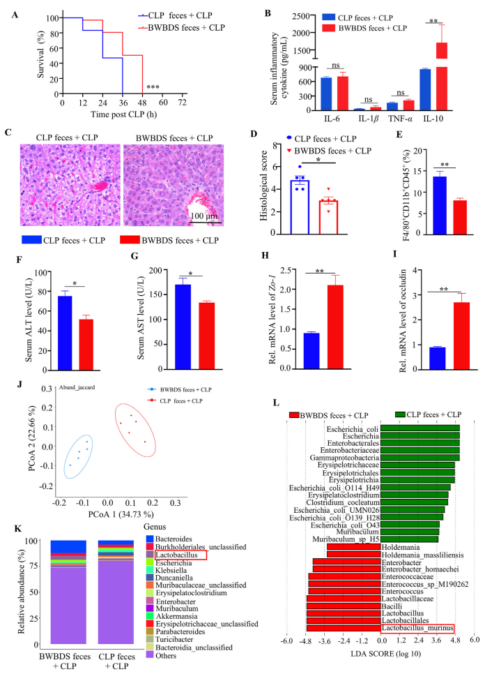 image007.png image007.png