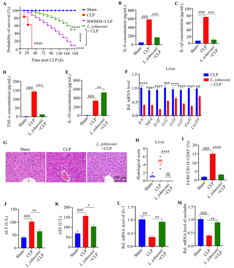 image009.png image009.png