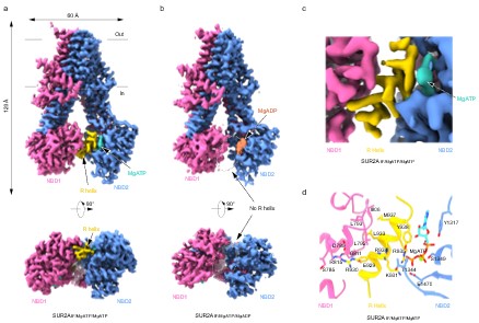 4e9586dbfbb640d9a4b251920f73b349.jpg 图片1.jpg