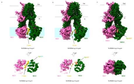 02dc5a5dce8d41fdaa5a4859ec19092c.jpg 图片2.jpg