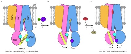 01abaedfc17549fa882e1173b5f6afdc.jpg 图片3.jpg