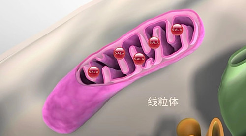 1691377218907199.jpg 5_副本.jpg