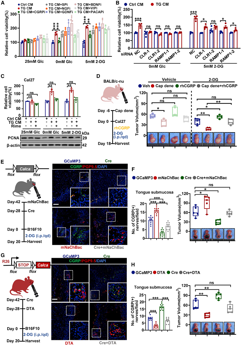 080902.png 080902.png