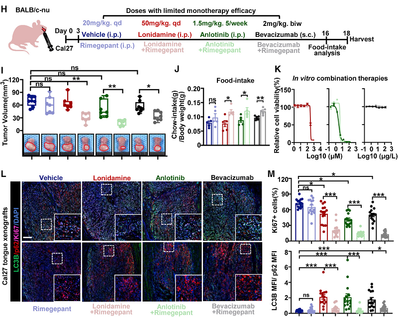 080903.png 080903.png