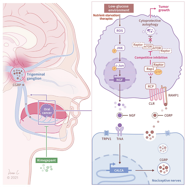 080904.png 080904.png