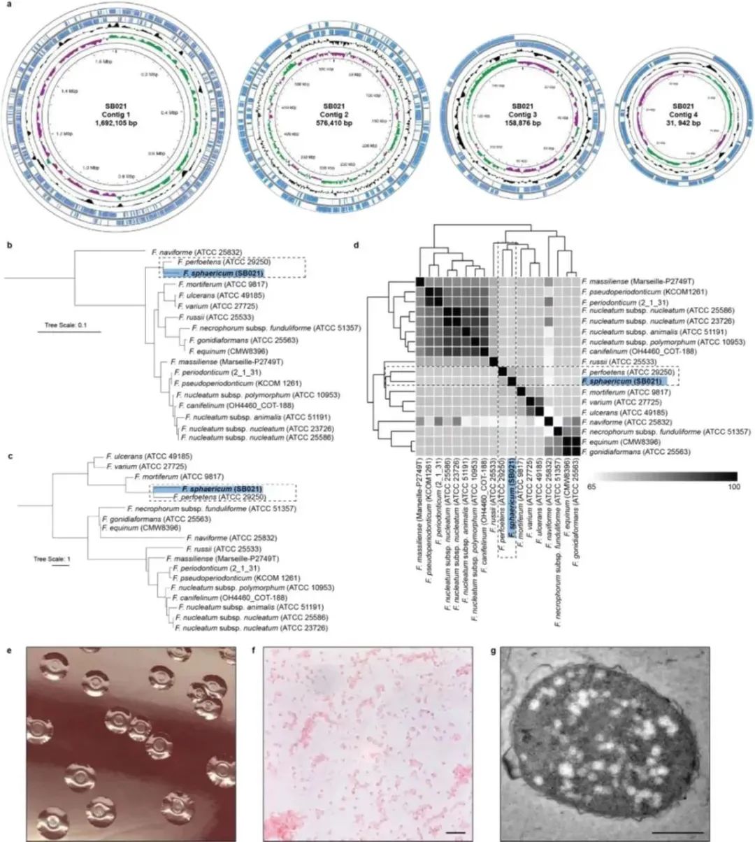 image001.jpg image001.jpg