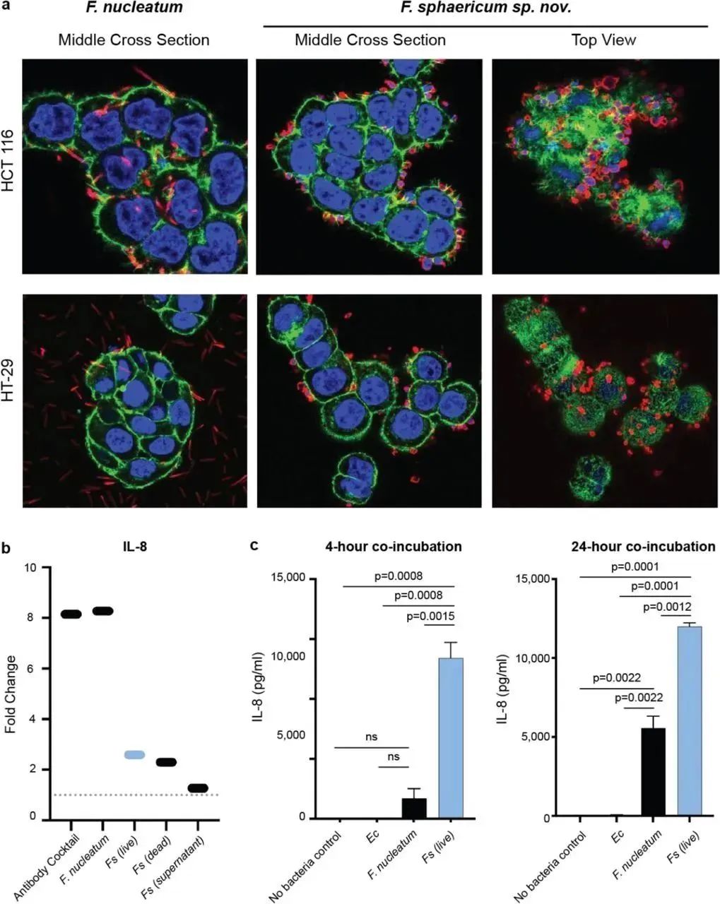 image004.jpg image004.jpg