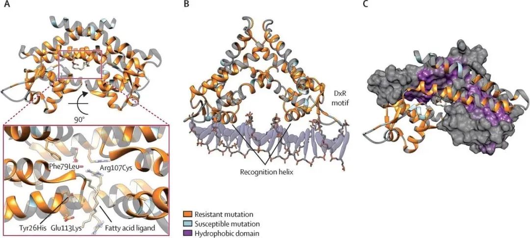 image008.jpg image008.jpg