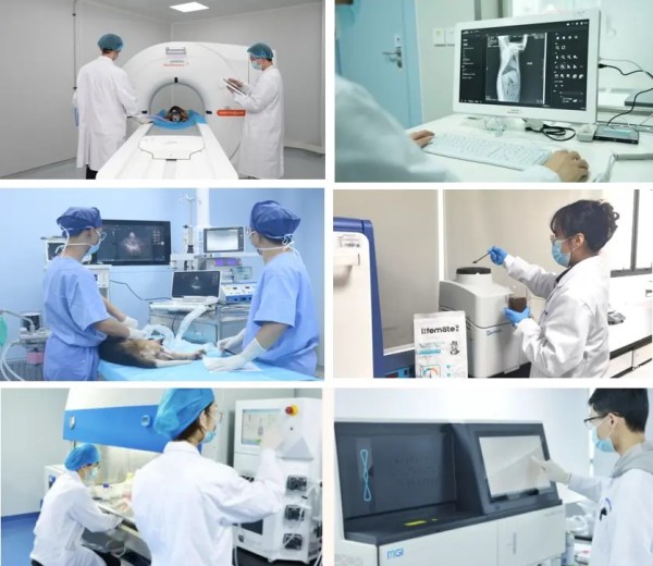 2326ef6805af0e1b74f519a3a2a94ec1_04b1de166708993020ab7e8bb41287d1u5_w=750&w=600.jpg 2326ef6805af0e1b74f519a3a2a94ec1_04b1de166708993020ab7e8bb41287d1u5_w=750&w=600.jpg