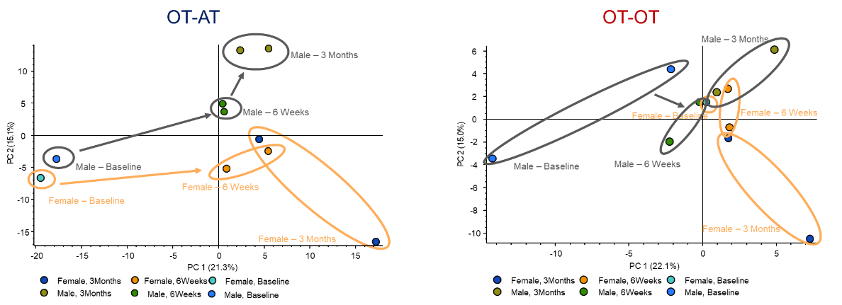 image011.png image011.png