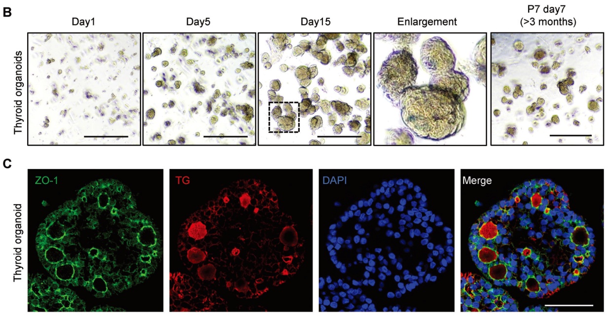 image001.jpg image001.jpg