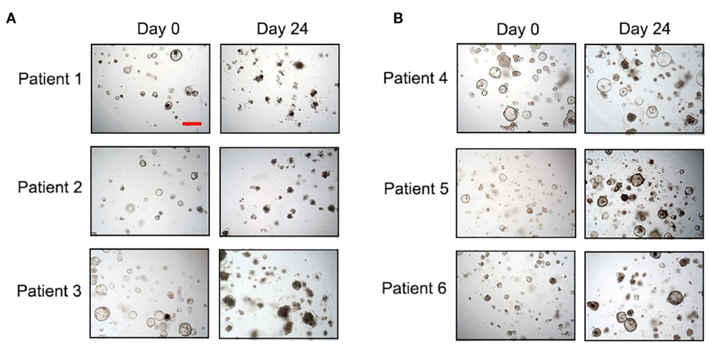 image003.jpg image003.jpg