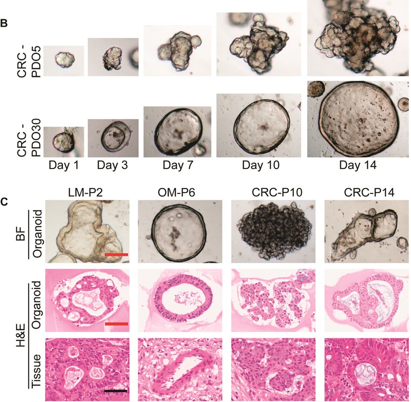 image005.jpg image005.jpg