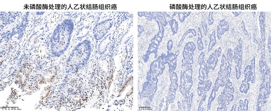 image003.jpg image003.jpg