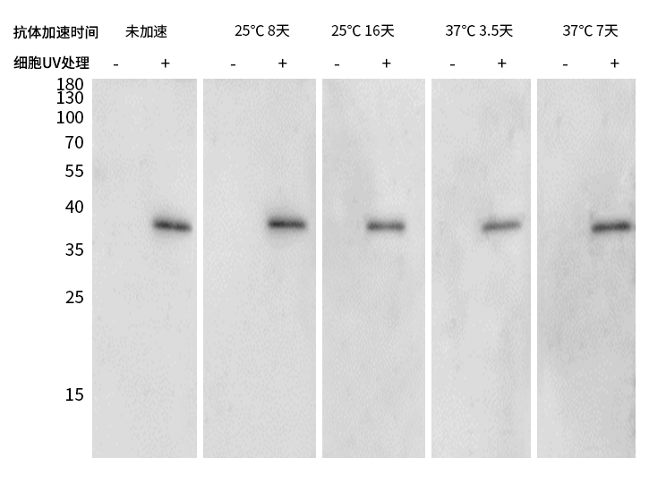 image007.png image007.png