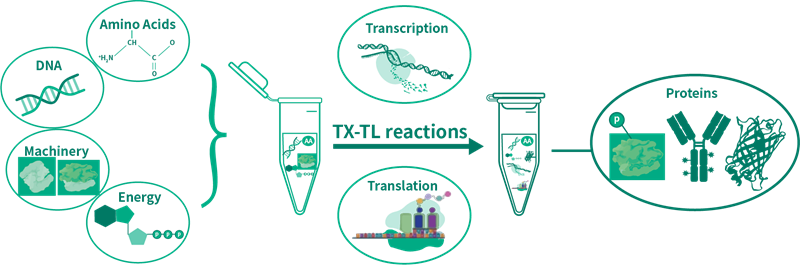 image001.png image001.png