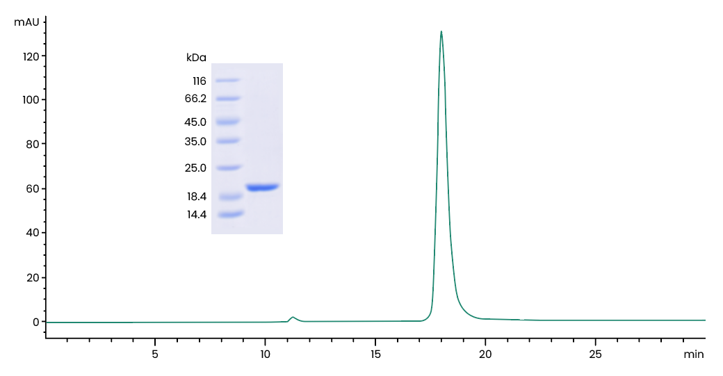 image005.png image005.png