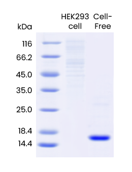 image011.png image011.png