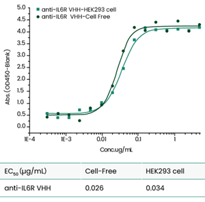 image007.png image007.png