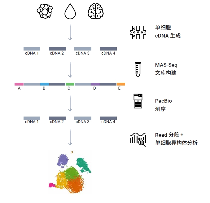 image010.jpg image010.jpg