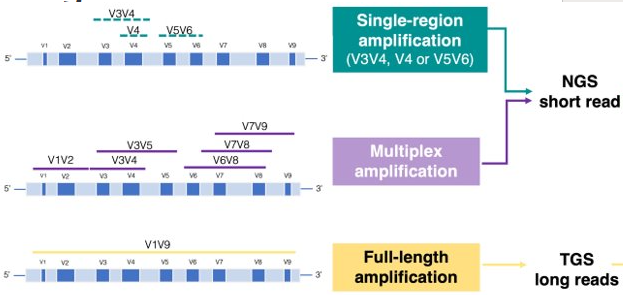 image012.png image012.png