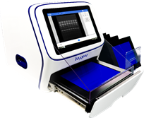 image006.png image006.png