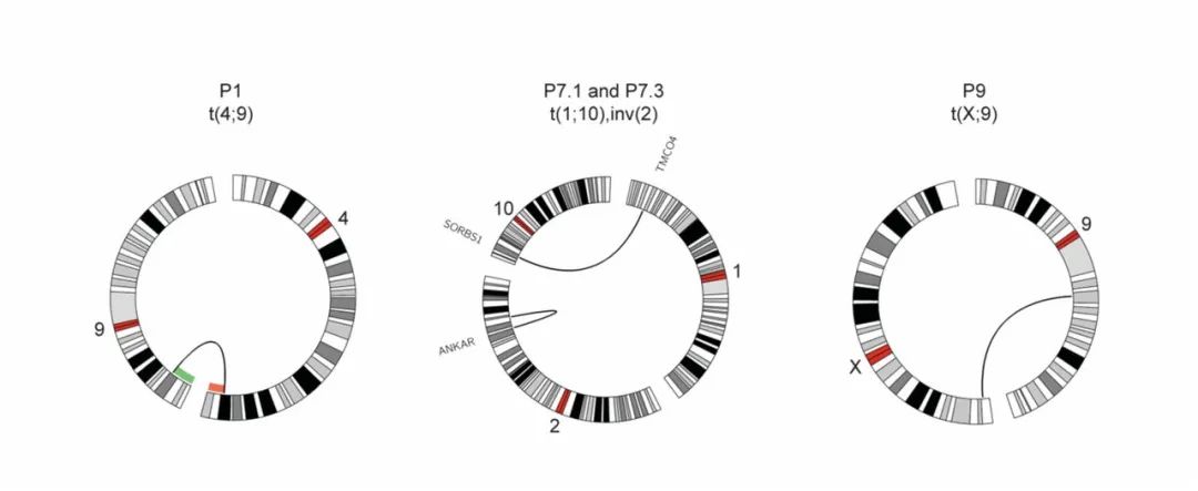 image013.jpg image013.jpg
