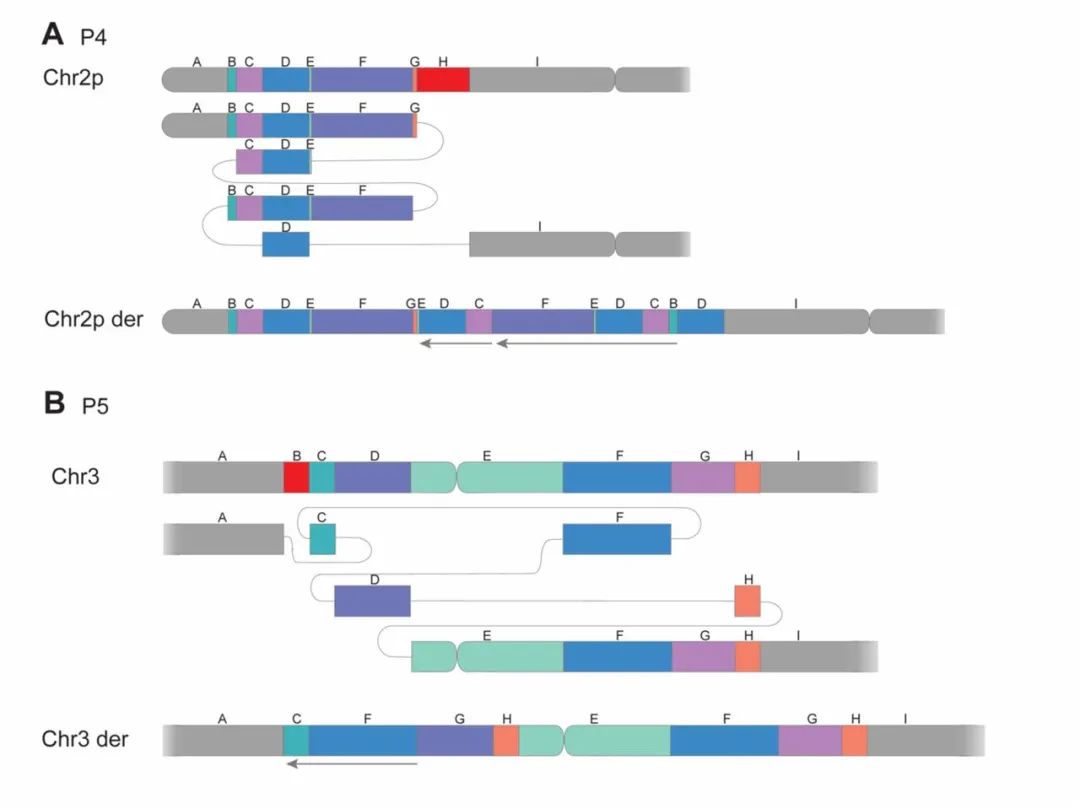 image015.jpg image015.jpg