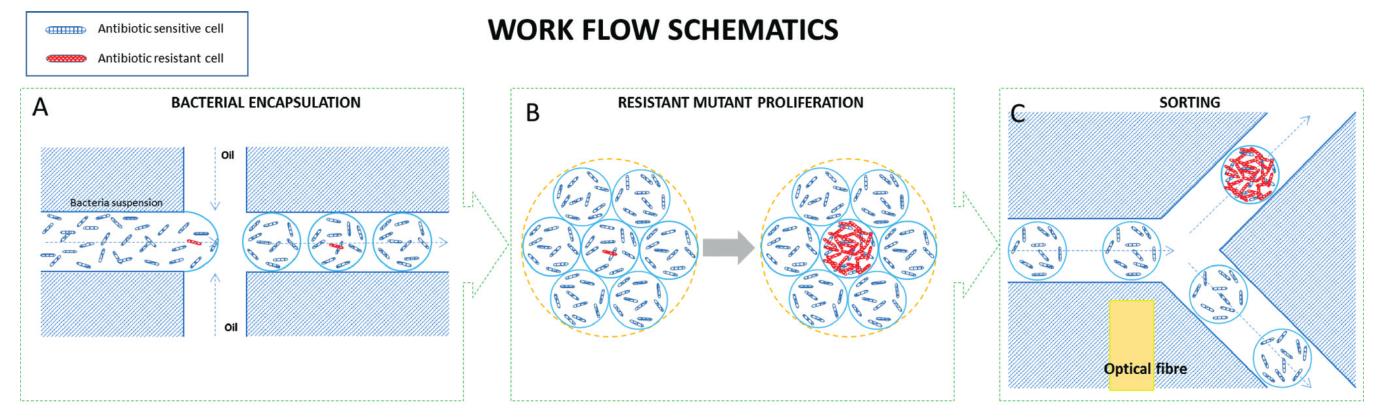 image001.jpg image001.jpg