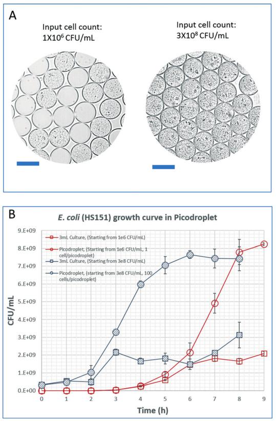 image006.jpg image006.jpg