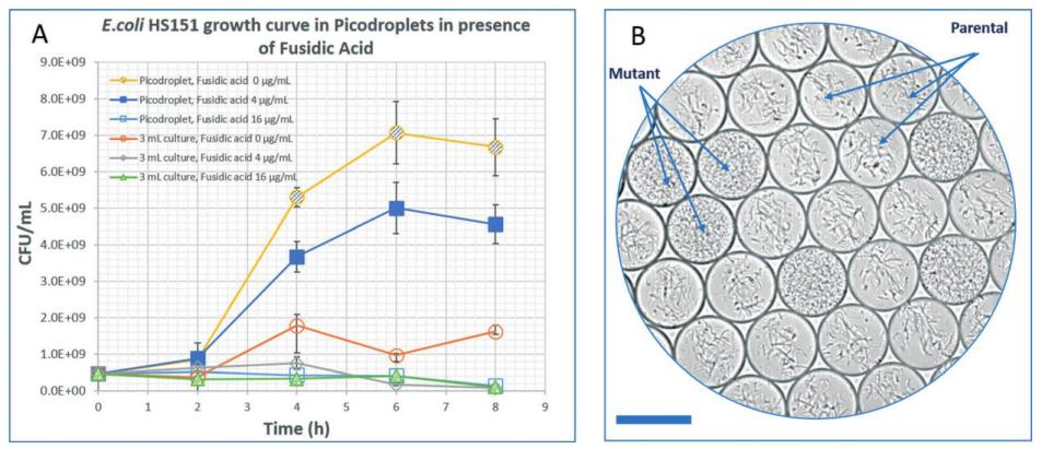 image008.jpg image008.jpg