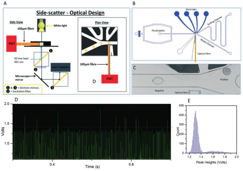 image010.jpg image010.jpg