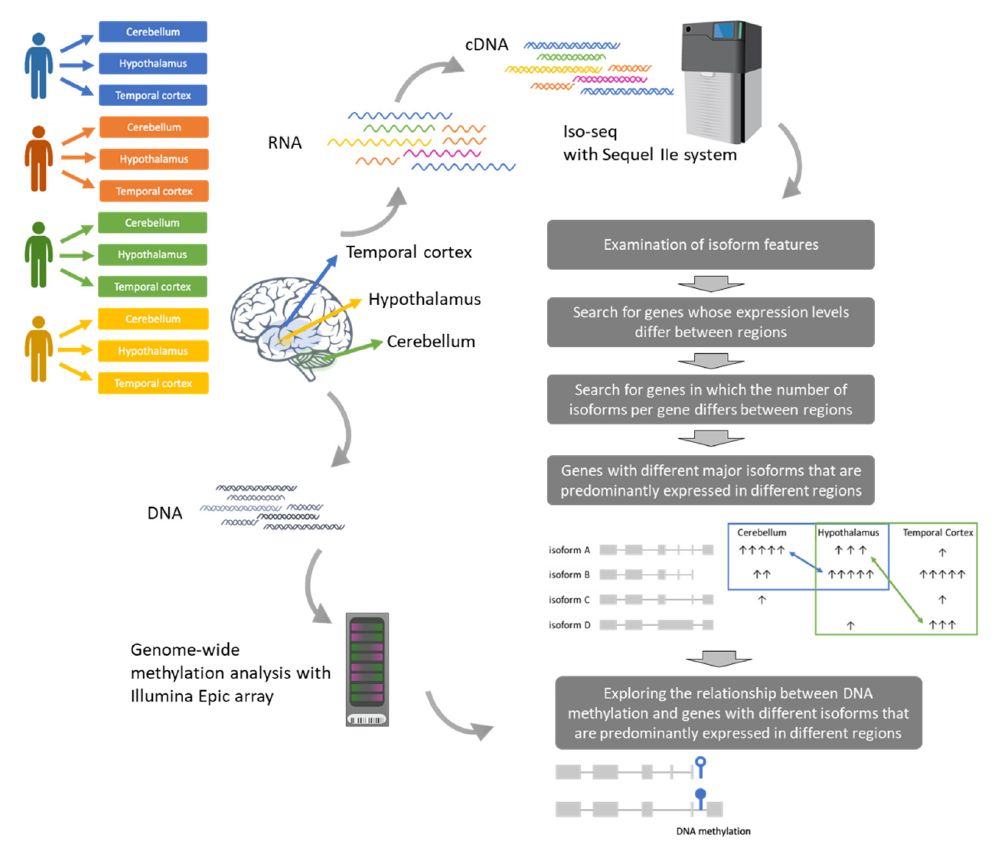 image004.png image004.png