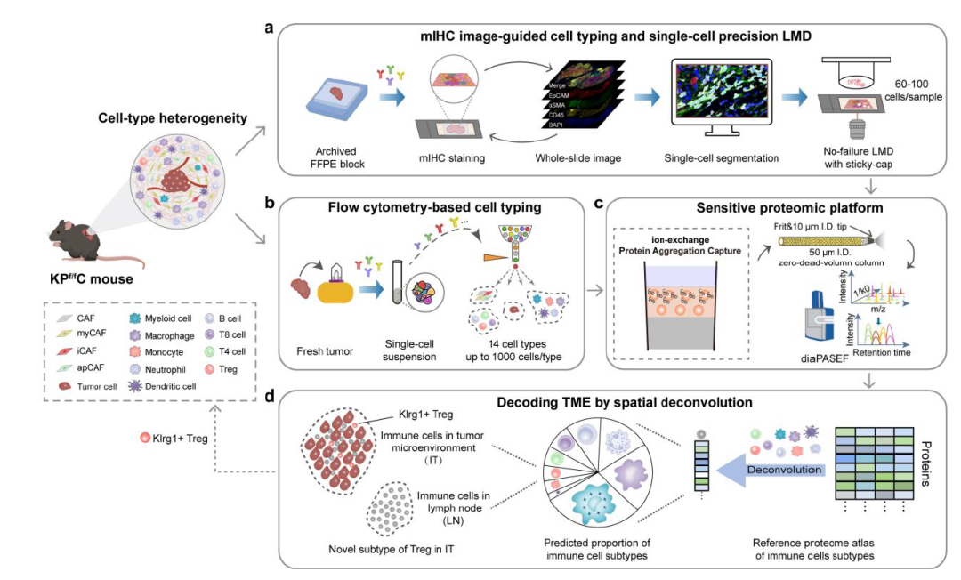 image002.png image002.png