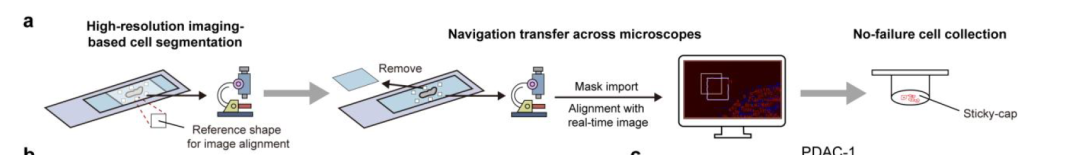 image004.png image004.png