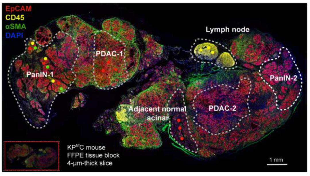 image006.png image006.png