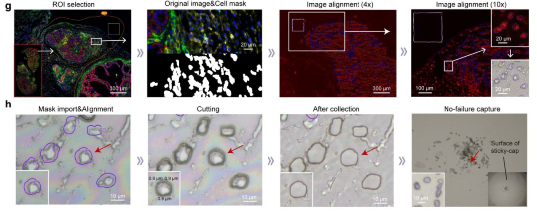 image008.png image008.png