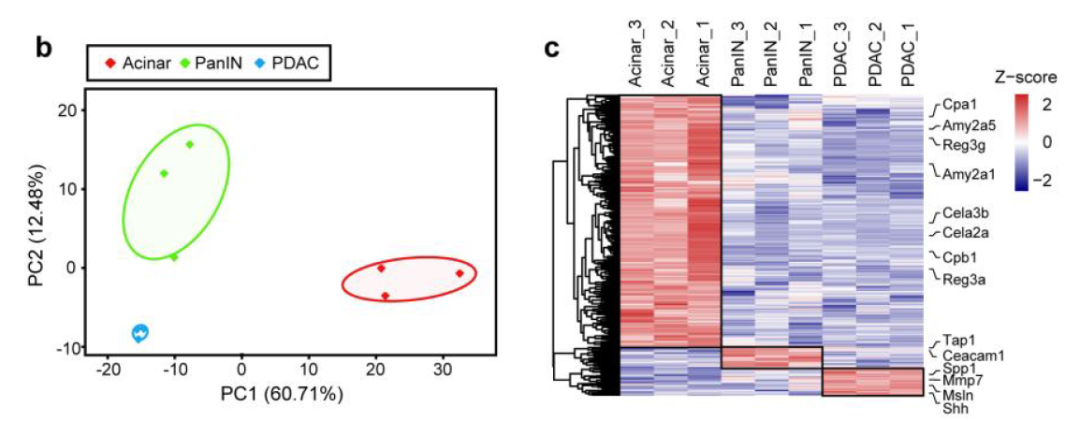 image012.png image012.png
