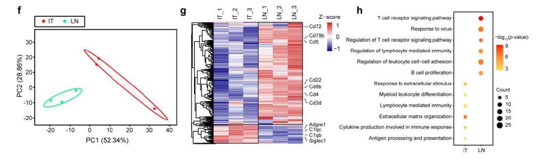 image016.png image016.png
