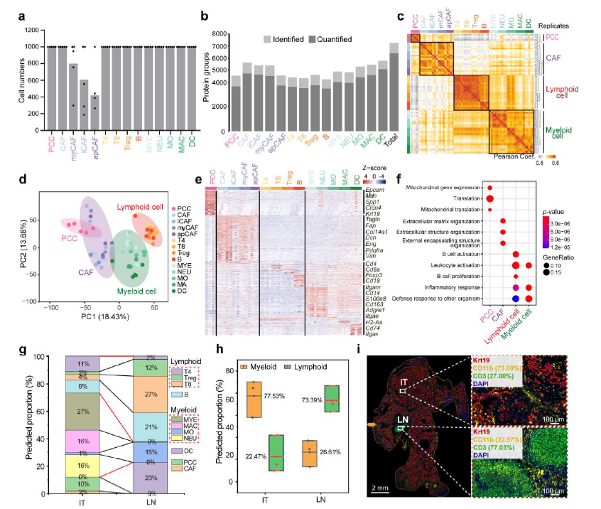 image018.png image018.png