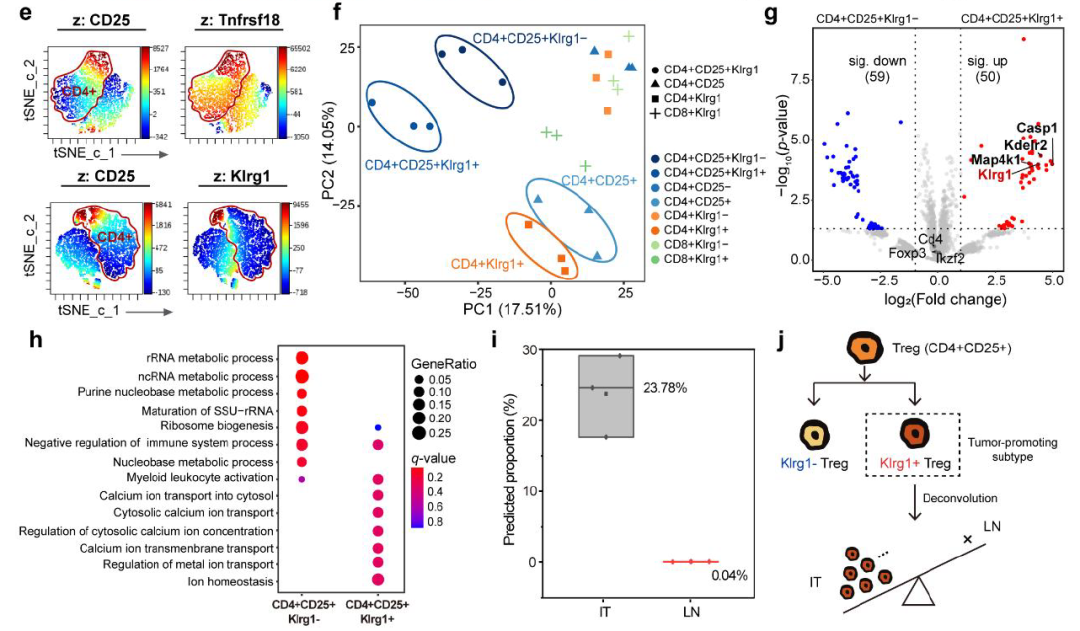 image020.png image020.png