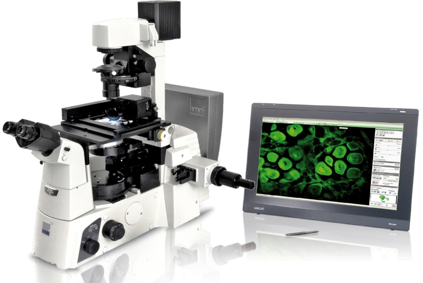 image024.png image024.png