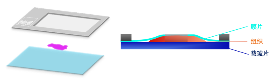 image026.png image026.png